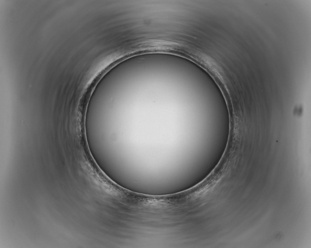 X0000089390835200706221316