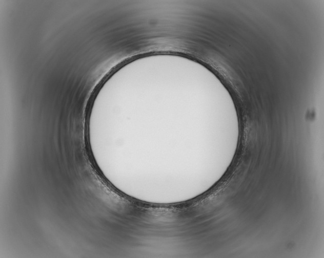 X0000089390836200706221316