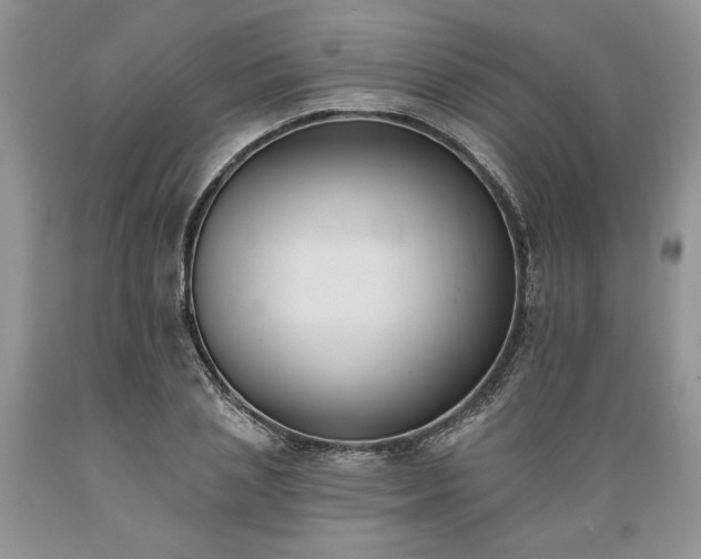 X0000089390837200706221316