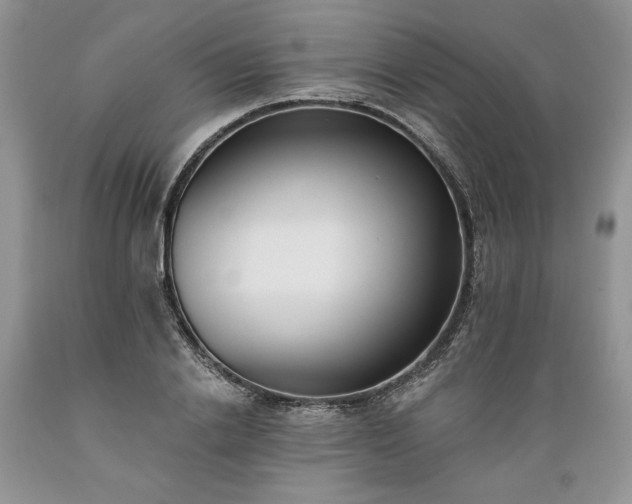 X0000089390838200706221316