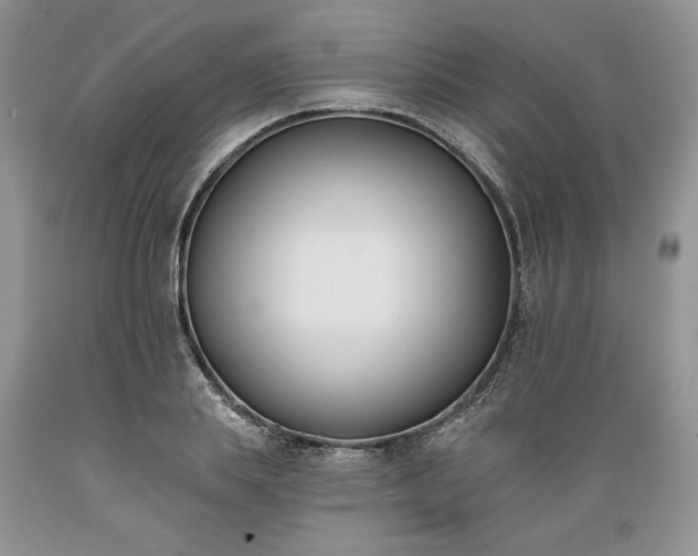 X0000089390839200706221316