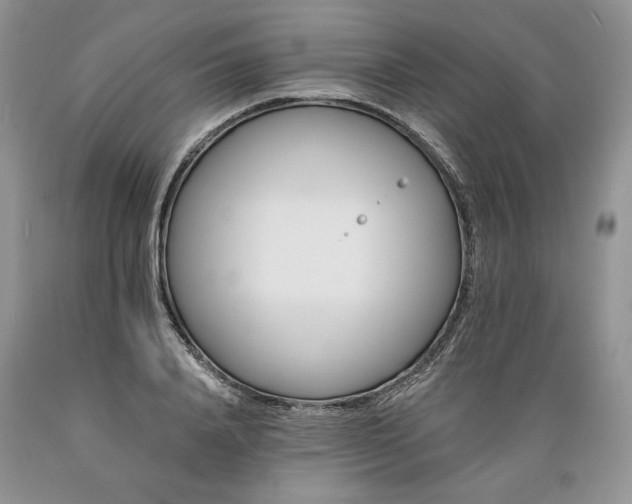 X0000089390840200706221316