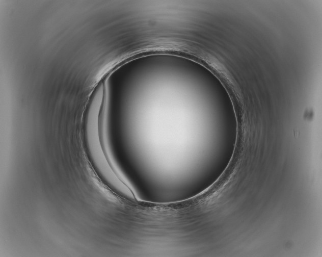 X0000089390842200706221316