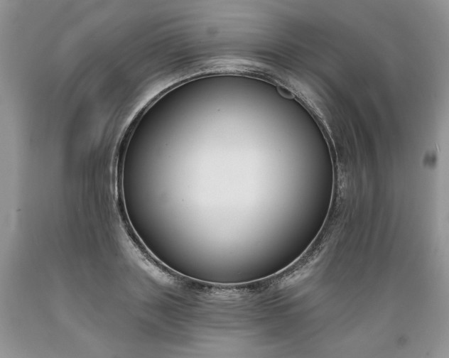 X0000089390843200706221316