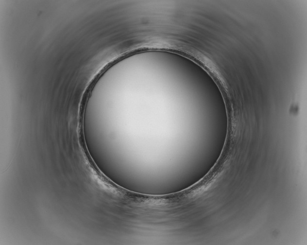 X0000089390845200706221316