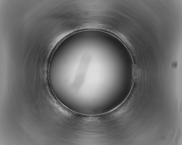 X0000089390846200706221316