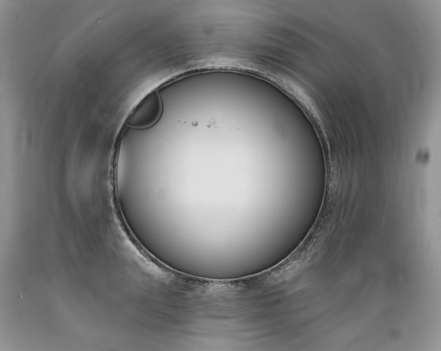 X0000089390847200706221316