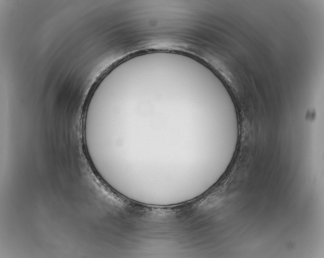 X0000089390848200706221316