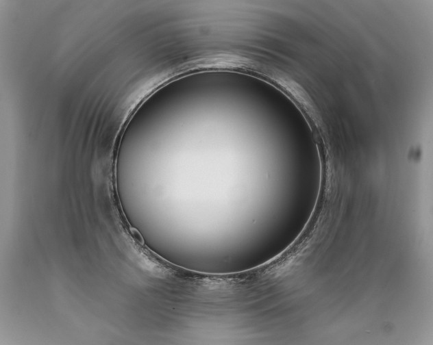 X0000089390850200706221316