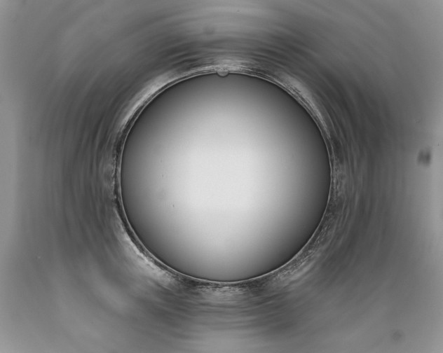 X0000089390851200706221316