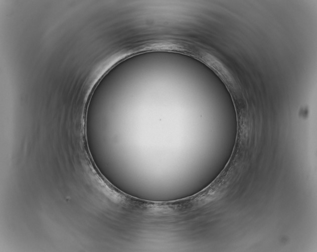 X0000089390852200706221316