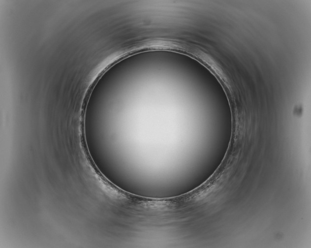 X0000089390853200706221316