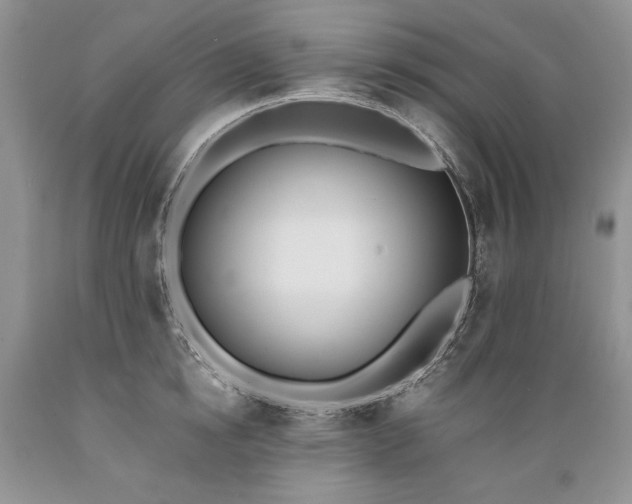 X0000089390854200706221316
