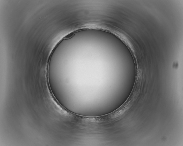 X0000089390855200706221316