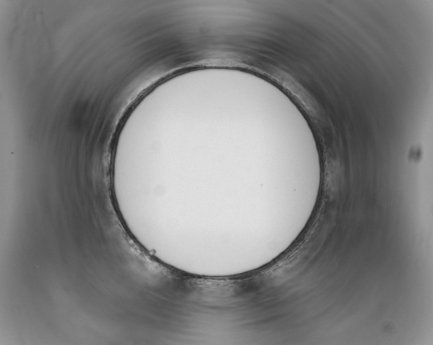 X0000089390856200706221316