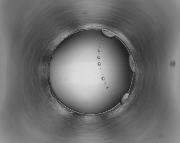 X0000089390857200706221316