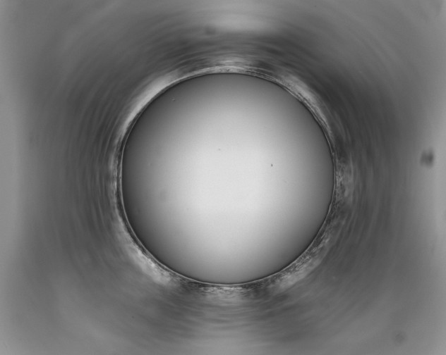 X0000089390859200706221316
