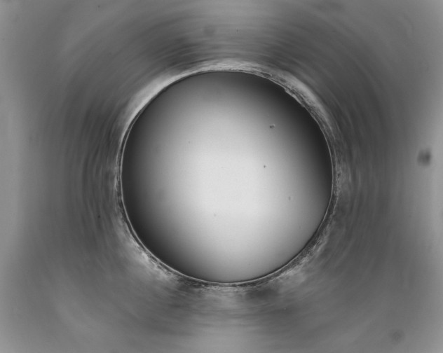 X0000089390860200706221316