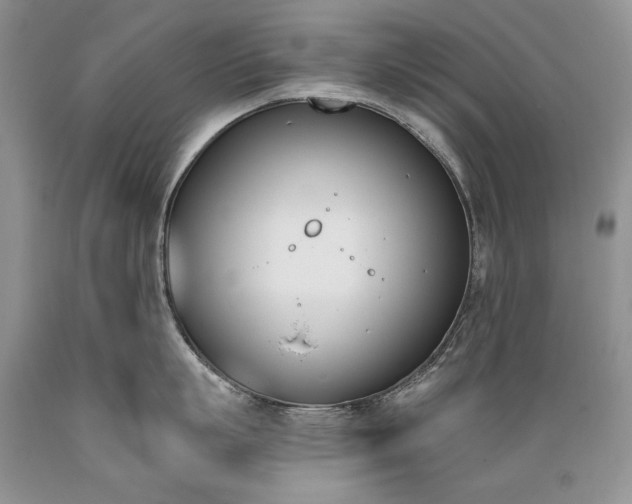 X0000089390863200706221316