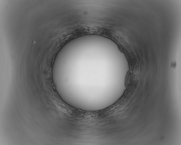 X0000089390865200706221316
