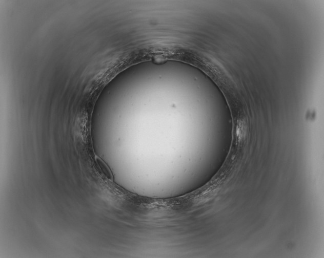 X0000089390867200706221316