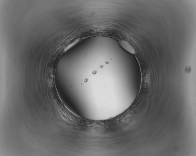 X0000089390868200706221316