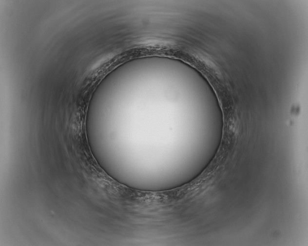 X0000089390869200706221316