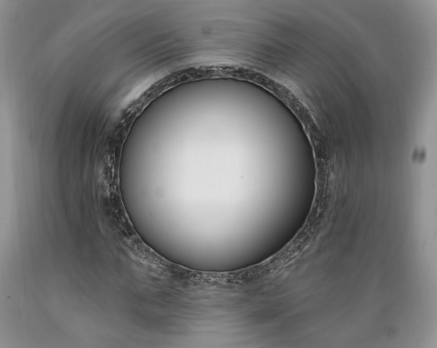 X0000089390871200706221316