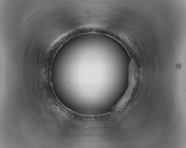 X0000089390872200706221316