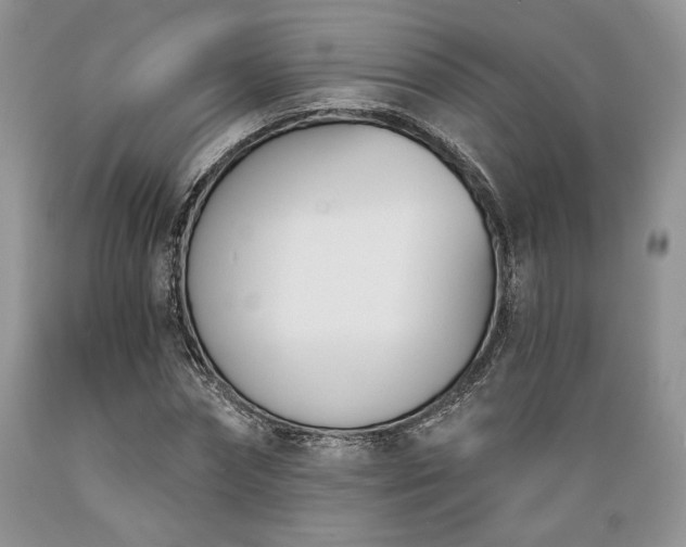 X0000089390874200706221316