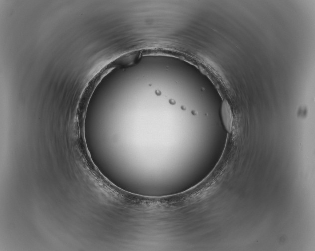 X0000089390876200706221316