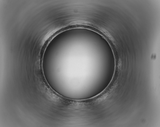 X0000089390877200706221315