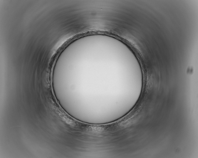 X0000089390878200706221315