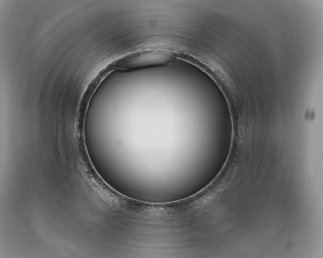 X0000089390880200706221315