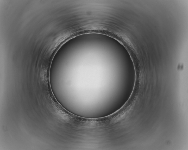 X0000089390881200706221315