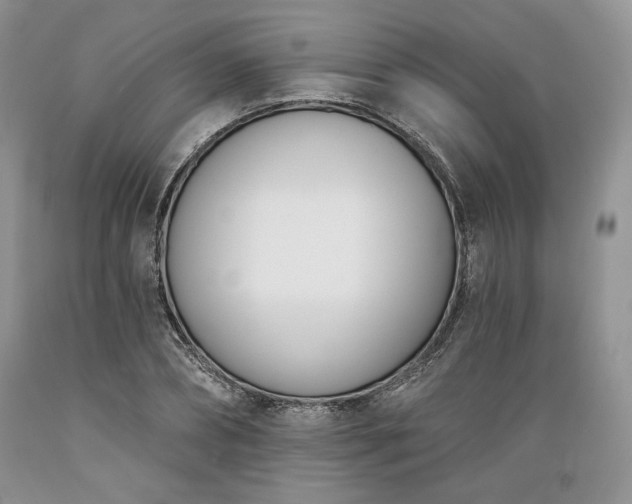 X0000089390882200706221315
