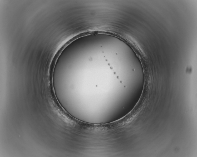 X0000089390884200706221315