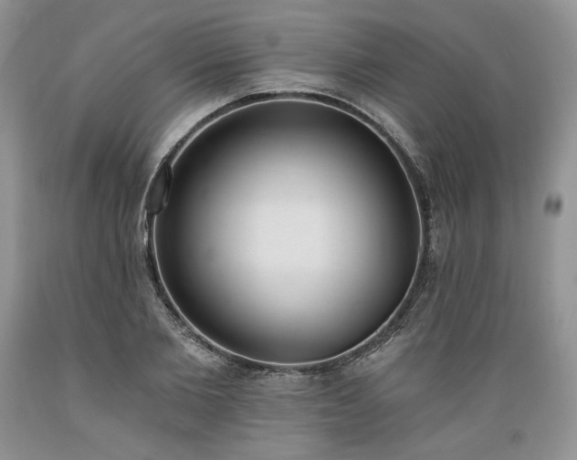 X0000089390885200706221315