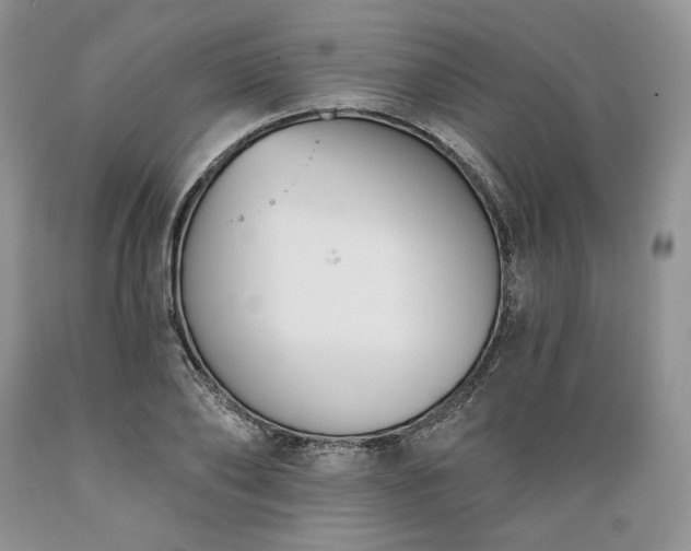 X0000089390886200706221315