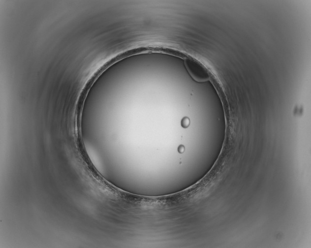 X0000089390887200706221315
