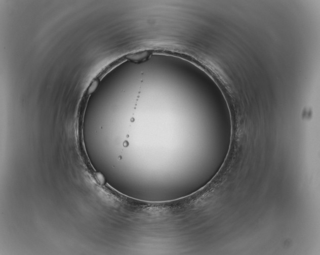 X0000089390888200706221315