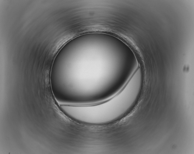 X0000089390889200706221315
