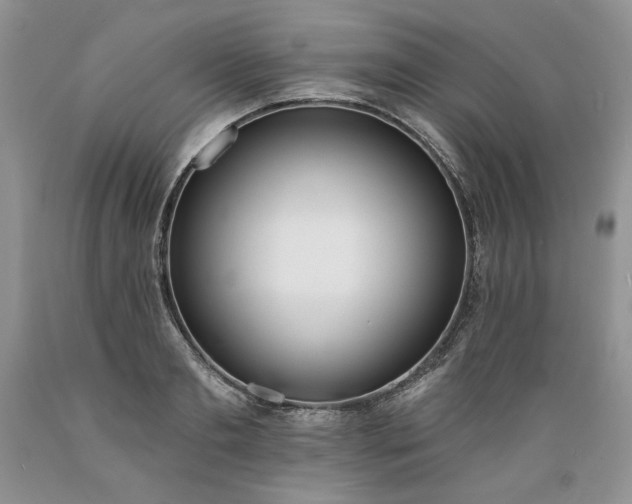 X0000089390893200706221315