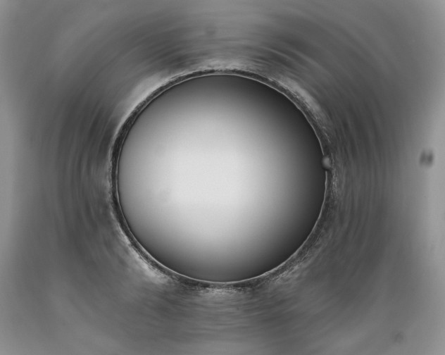 X0000089390894200706221315
