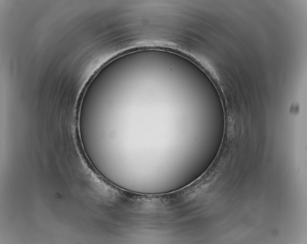 X0000089390895200706221315