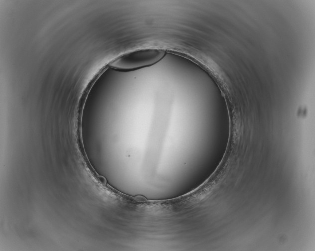 X0000089390896200706221315