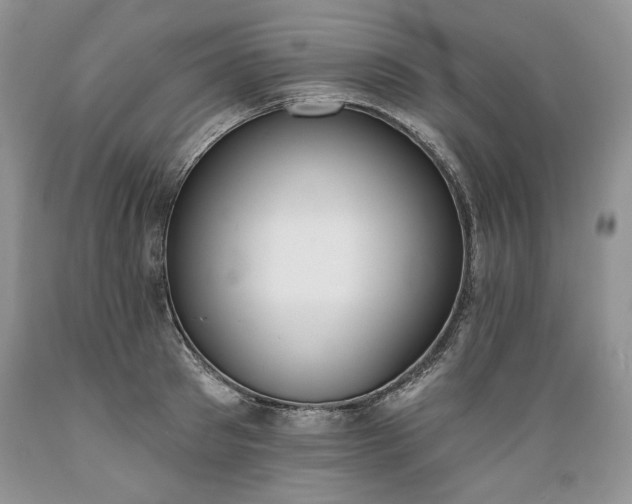 X0000089390897200706221315