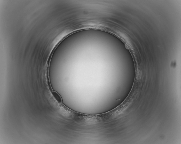 X0000089390899200706221315