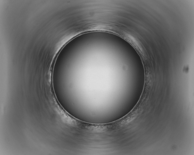 X0000089390900200706221315