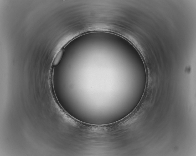 X0000089390901200706221315